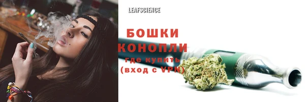 ГАЛЛЮЦИНОГЕННЫЕ ГРИБЫ Алзамай