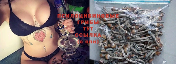 ГАЛЛЮЦИНОГЕННЫЕ ГРИБЫ Алзамай