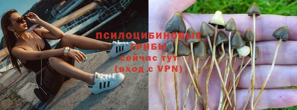 ГАЛЛЮЦИНОГЕННЫЕ ГРИБЫ Алзамай