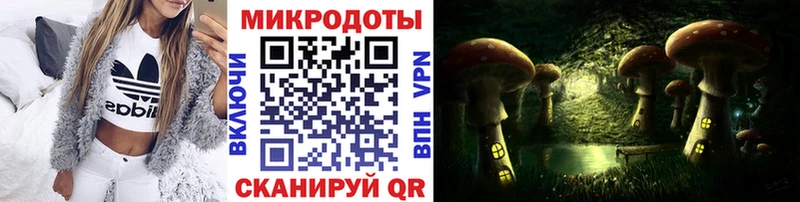 Галлюциногенные грибы мухоморы  закладка  Борзя 